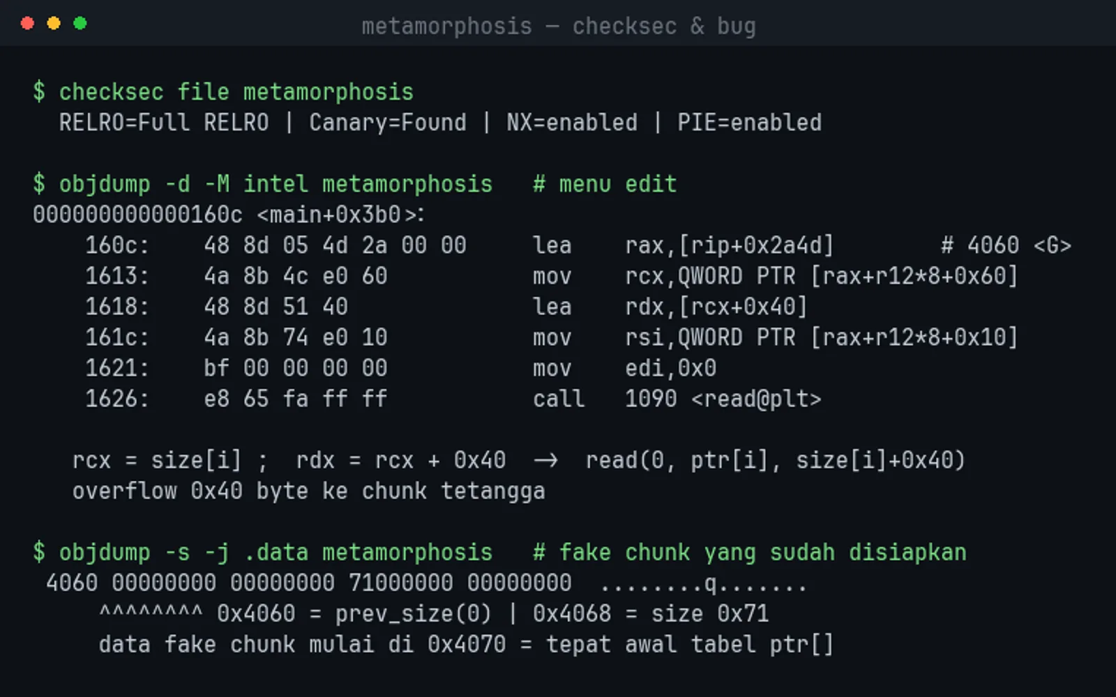 Proteksi dan bug metamorphosis